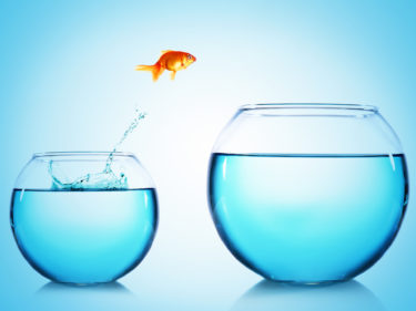 Windows 10 Umstieg Windows 11 Goldfisch, der aus kleinem Glas in größeres Glas springt